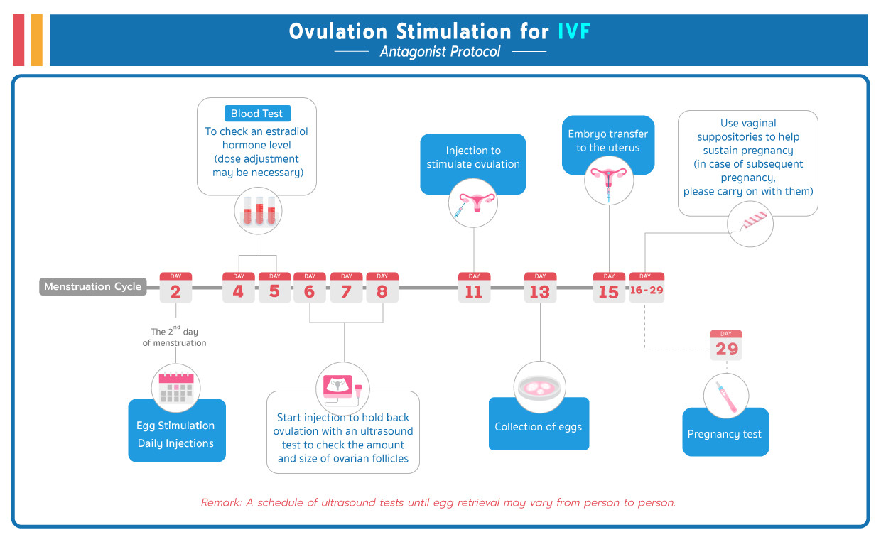 IVF Package